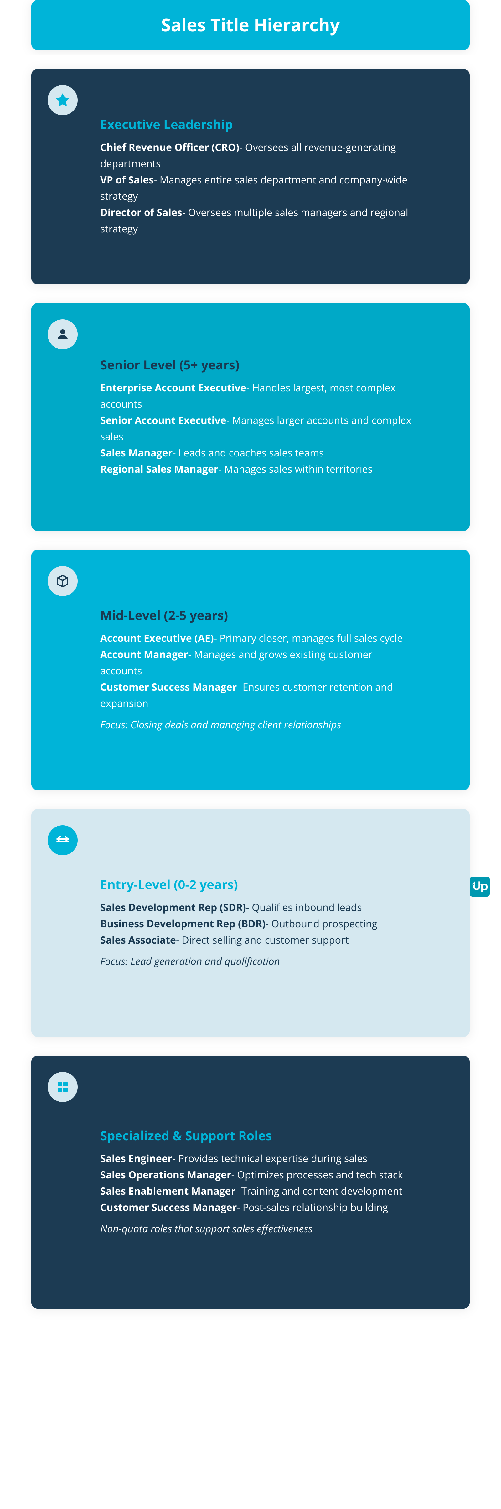 Complete Sales Organization Hierarchy Structure